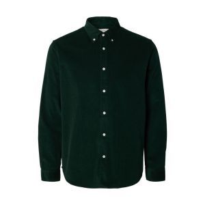 SLMREGCOLE DANNI CORD BD LS SH 181172 Pine Gro
